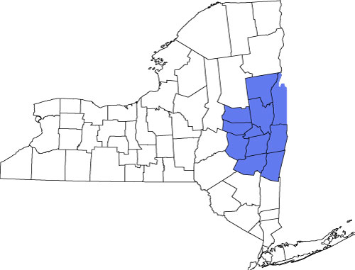 map of capital region in New York State