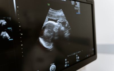 New Paid Prenatal Leave Law