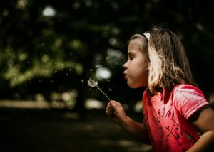 manage spring allergies