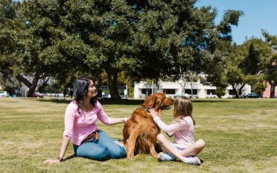 How to Make Sure Your Next Nanny is a Great Fit for Your Pets Too