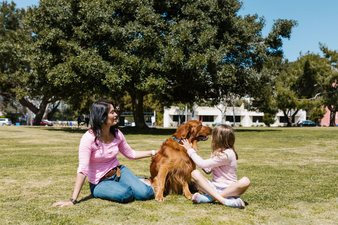 nanny pets nanny pets